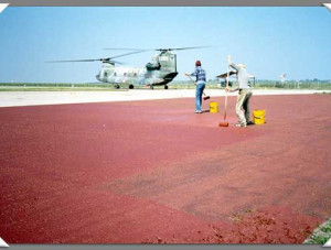 <a href="schede/art-168-poligum-finitura">poligum finitura</a>